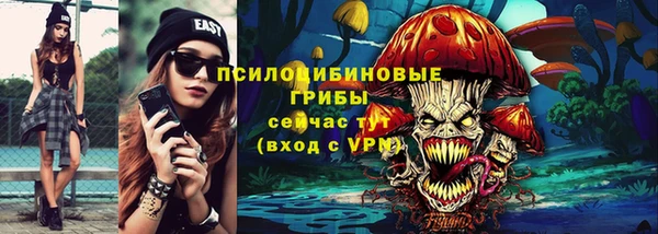 ешки Ельня