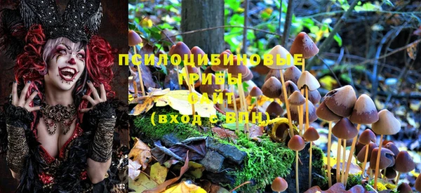 герыч Елизово