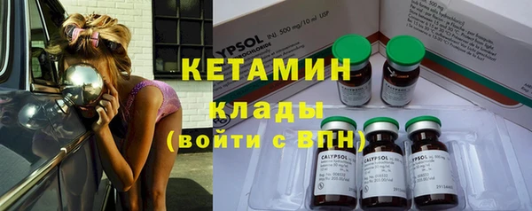 ешки Ельня